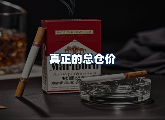 专业团队办公环境